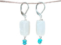 Onyx & Turquoise earrings
